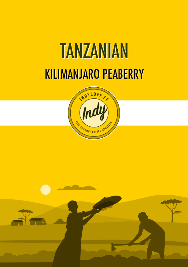 Tanzanian Kilimanjaro Peaberry